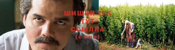 хмурый Дмитриев
