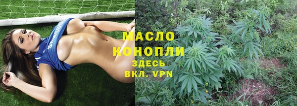 хмурый Дмитриев