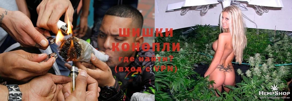 хмурый Дмитриев