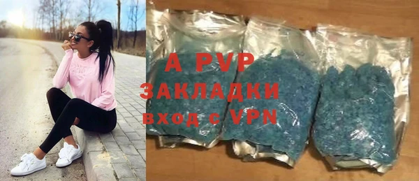 хмурый Дмитриев