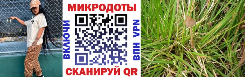 Галлюциногенные грибы Magic Shrooms  Купить  Щёкино 
