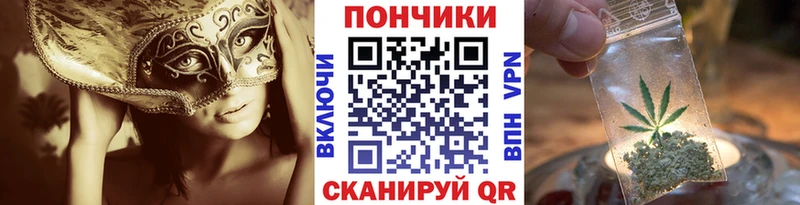 Бошки Шишки конопля  Купить закладки  Щёкино 